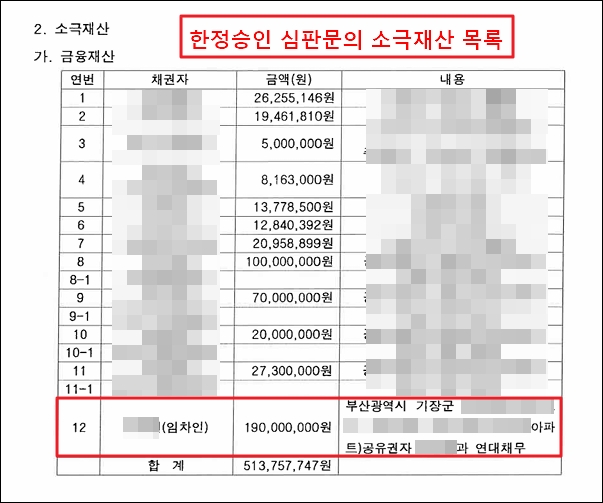 한정승인심판문의 소극재산목록